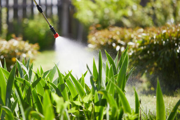 Tamper-Resistant Bait Stations for Rodents in Mullica Hill