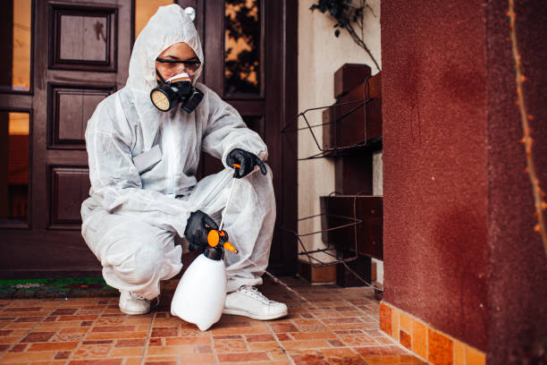 Attic and Crawl Space Rodent Treatment in Mullica Hill