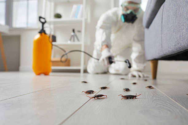 Commercial Rodent Management in Mullica Hill